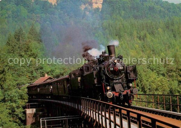 Lokomotive Eurovapor-Sonderzug Strategische Bahn W