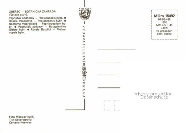 Voegel Liberec Botanicka Zahrada Papousek nadh – Bild 2