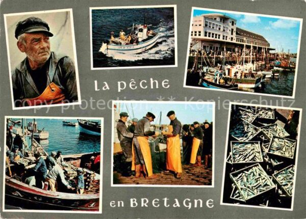 Fischerei Peche Bretagne Fische Fischer