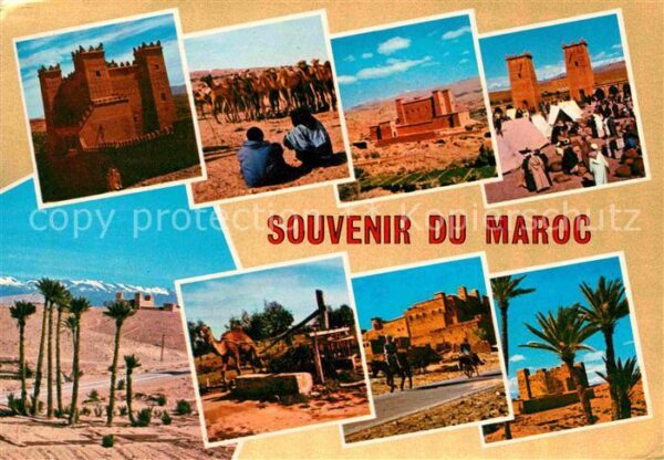 Kasbah-Tadla Chameaus Souk Noria Palmerais
