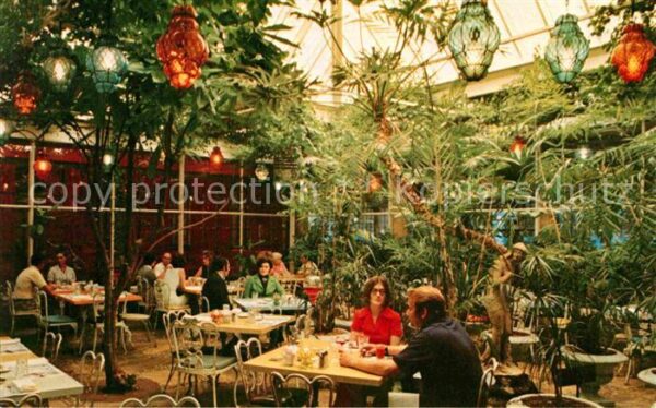 Clearwater Florida Kapok Tree Patio dining amid a tropical