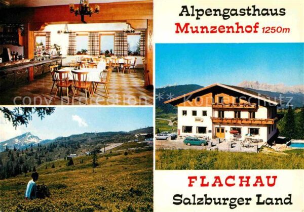 Flachau Alpengasthof Munzenhof Gastraum Panoram