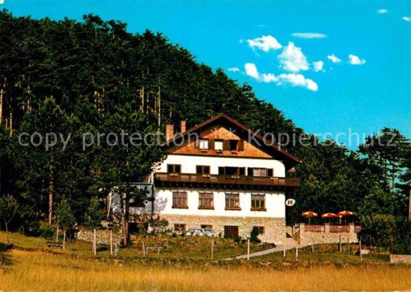 Gruenbach Schneeberg Pension Gasthof zur Talwiese
