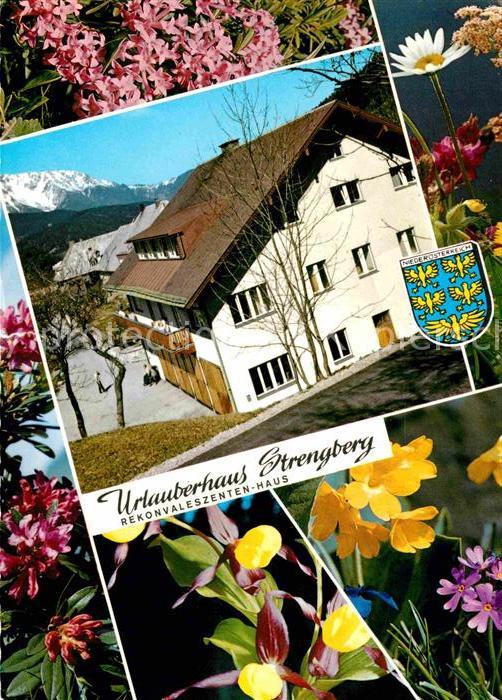 Puchberg Schneeberg Urlauberhaus Strengberg Alpenblick Blum