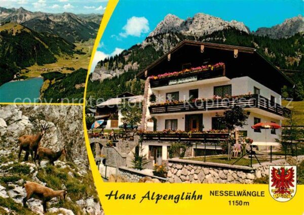 Nesselwaengle Tirol Pension Haus Alpenglühn mit Rotflüh Tan