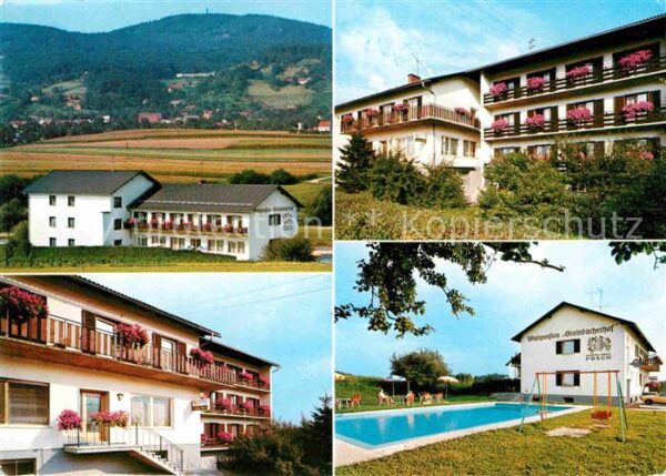Penzendorf Neudorf Steiermark Waldpension Greinbacherhof Swimming Poo