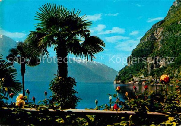 Riva del Garda Motivo Uferpartie am Gardasee Palmen