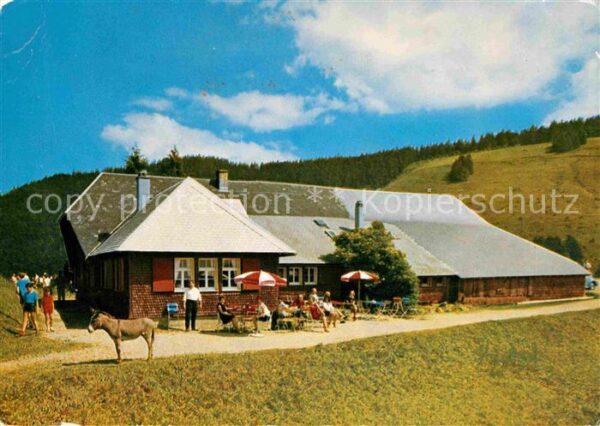 Untermuenstertal Almgaststätte Kälbelescheuer Ausflugszi