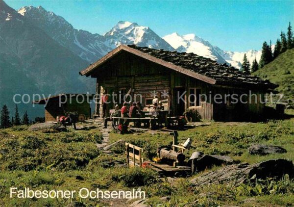 Neustift Stubaital Tirol Falesoner Ochsenalm Stubaier Alpen