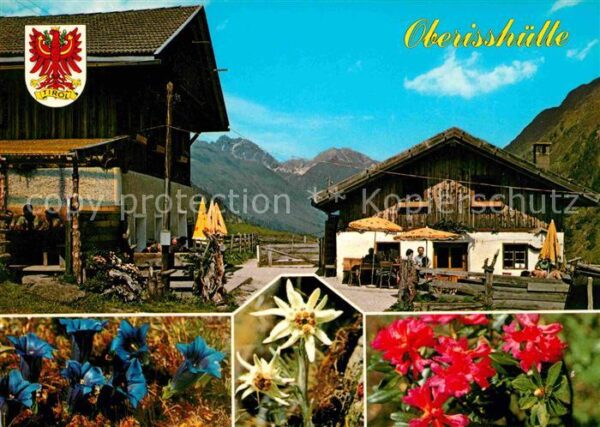 Stubaital Oberisshütte Alpenflora Stubaier Alpen