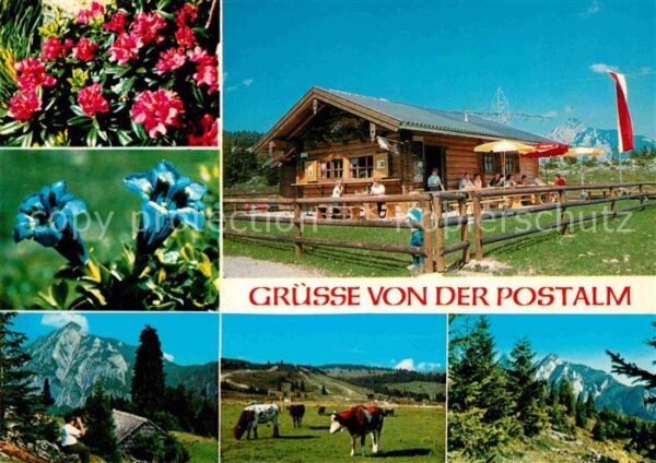 Abtenau Postalm mit Blonde Hütte Alpenflora Bla