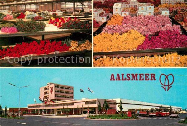 Aalsmeer United Flower Markets