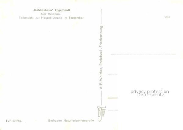 Heidenau Sachsen Dahlienheim Engelhardt – Bild 2