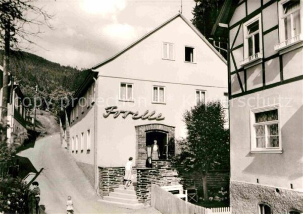 Unterweissbach Quelitz Ferienheim Forelle