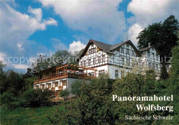 Reinhardtsdorf-Schoena Panoramahotel Wolfsberg
