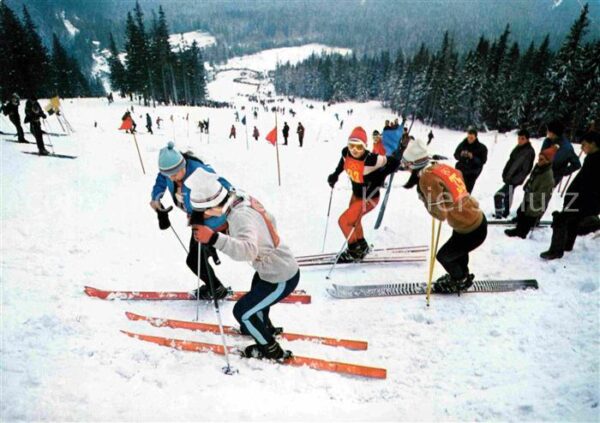 Vysoke Tatry Skipiste Winter