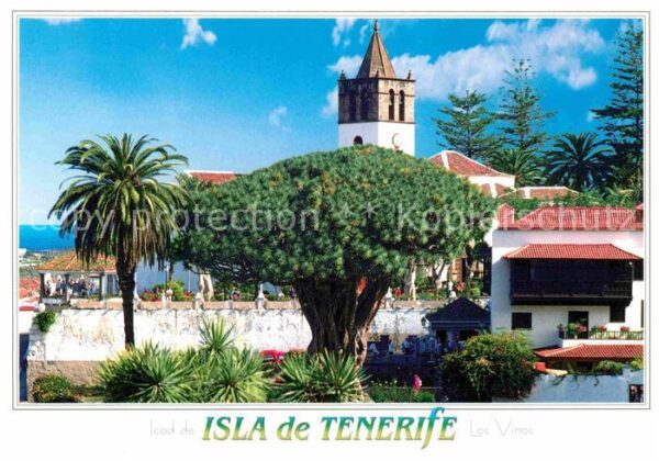 Tenerife Los Vinos