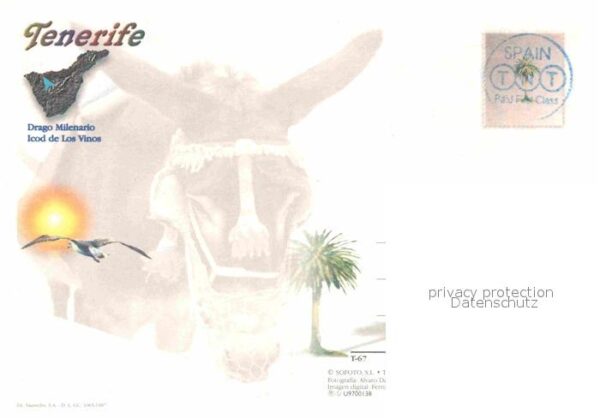 Tenerife Los Vinos – Bild 2