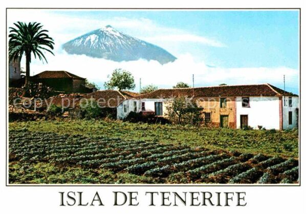 Tenerife Teide Bauernhof