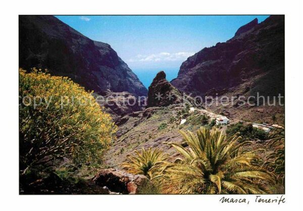 Masca Panorama