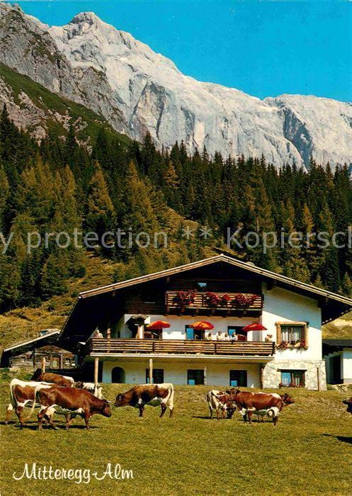 Muehlbach Hochkoenig Rasthütte Mitteregg Alm