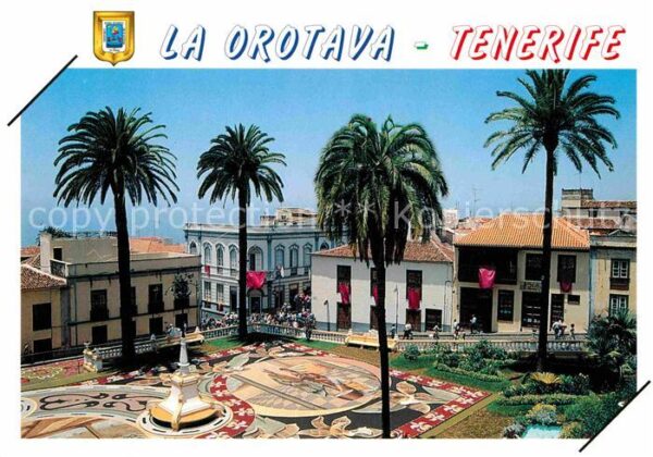 Orotava Tenerife Platz Denkmal Palmen