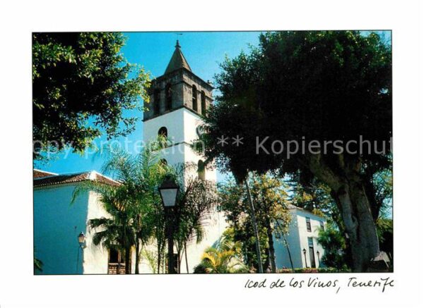 Tenerife Olivenbaum Kirche