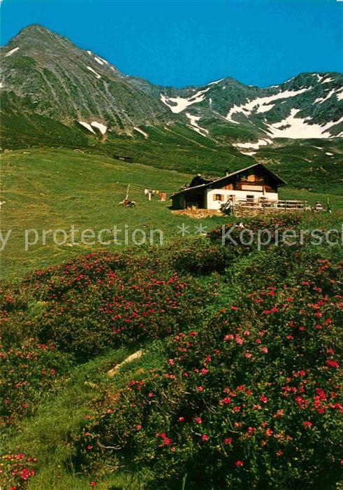 Schenna Meran Hirzer Hochplateau Resegger Alm