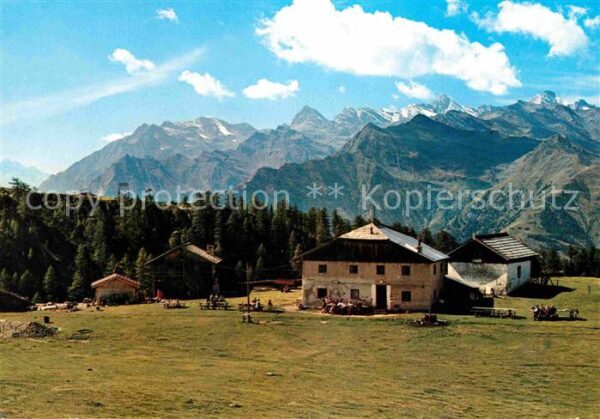 Schenna Meran Gasthaus Tallner-Alm Hirzerhütte