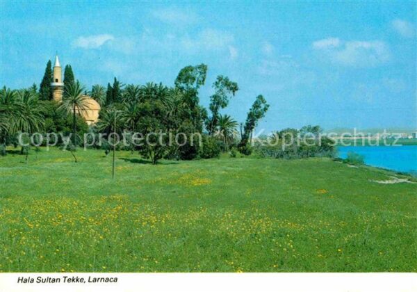 Larnaca Hala Sultan Tekke