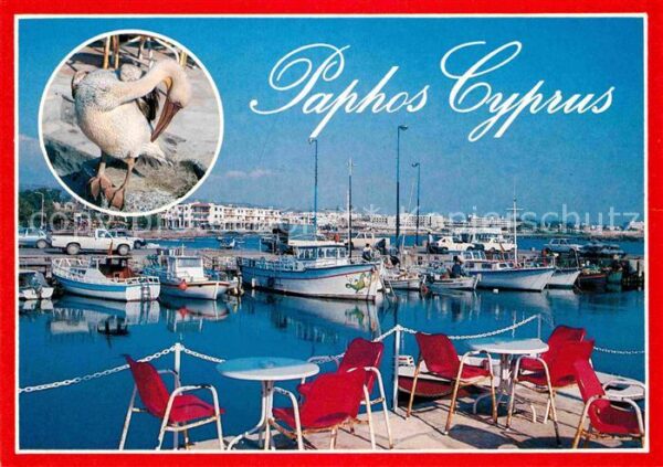 Paphos Hafen Pelikan Terrasse