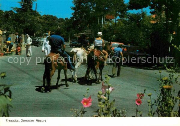 Cyprus Zypern Troodos Summer Resort Reiter