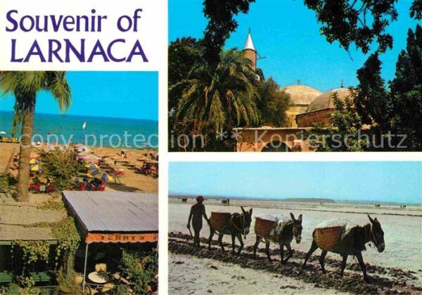 Larnaca Hala Sultan Tekke Esel