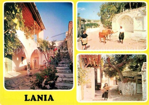 Lania Laneia Ortspartien Kühe