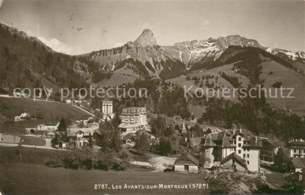 Les Avants sur Montreux Panorama