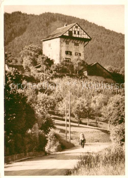 Altstaetten SG Burg Altstätten