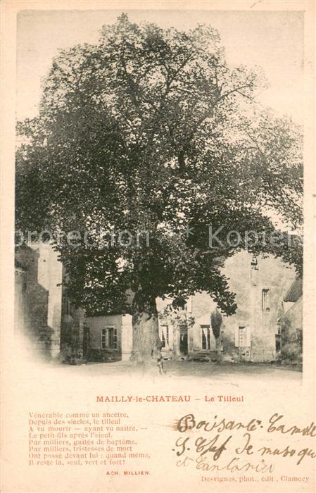 Mailly-le-Chateau Le Tilleui