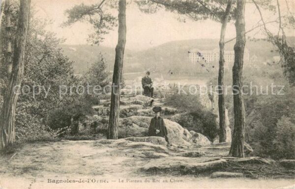 Bagnoles-de-l Orne Le Plateau du Roc au Chien