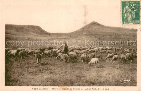Veze Moutons pres de la Breche de Giniol