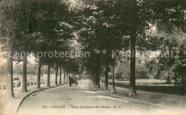 Lille 59 Une Avenue du Bois