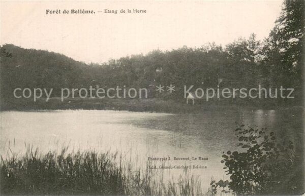 Foret de Belleme 61 Etang de la Herse
