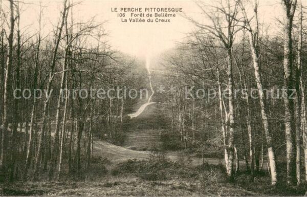Belleme 61 Foret de Belleme La Vallee du Creux