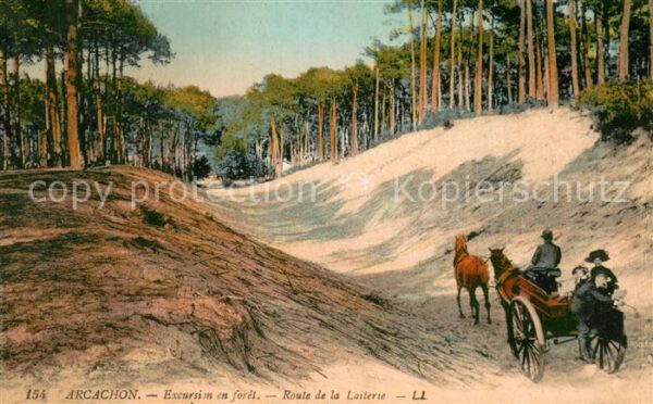 Arcachon 33 Excursion en foret Route de la Laiterie