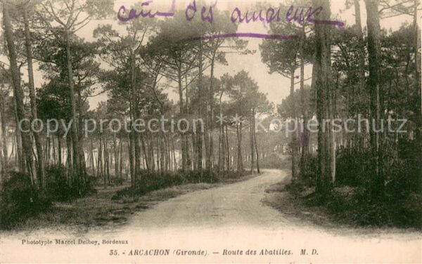 Arcachon 33 Route des Abatilles Forêt