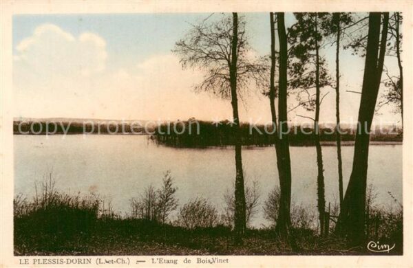 Le Plessis-Dorin Etang de Bois Vinet