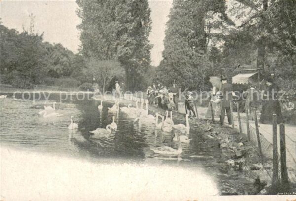 Paris 75 Schwanenteich