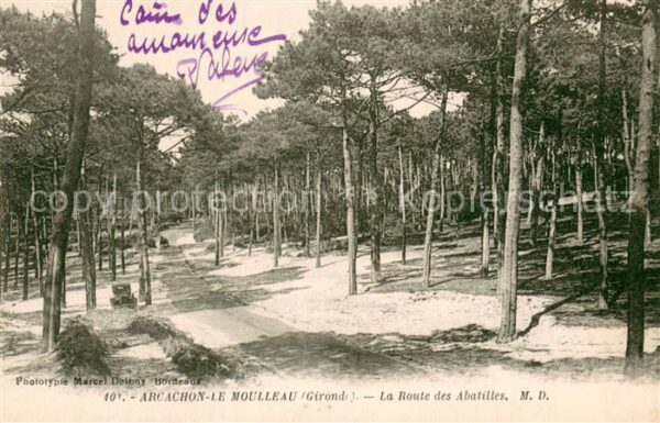 Arcachon 33 La Route des Abatilles