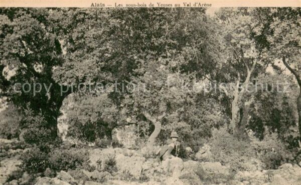 Alais 30 Les sous bois de Yeuses au Val d_Arene