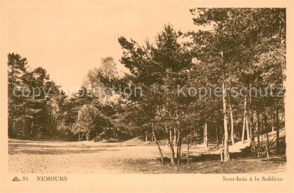 Nemours 77 Sous bois a la Sabliere
