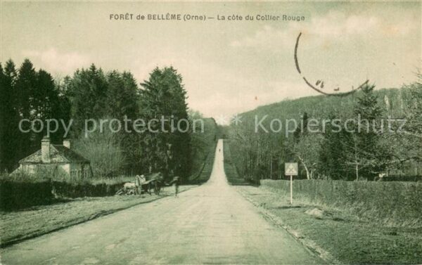 Foret de Belleme 61 La cote du Collier Rouge